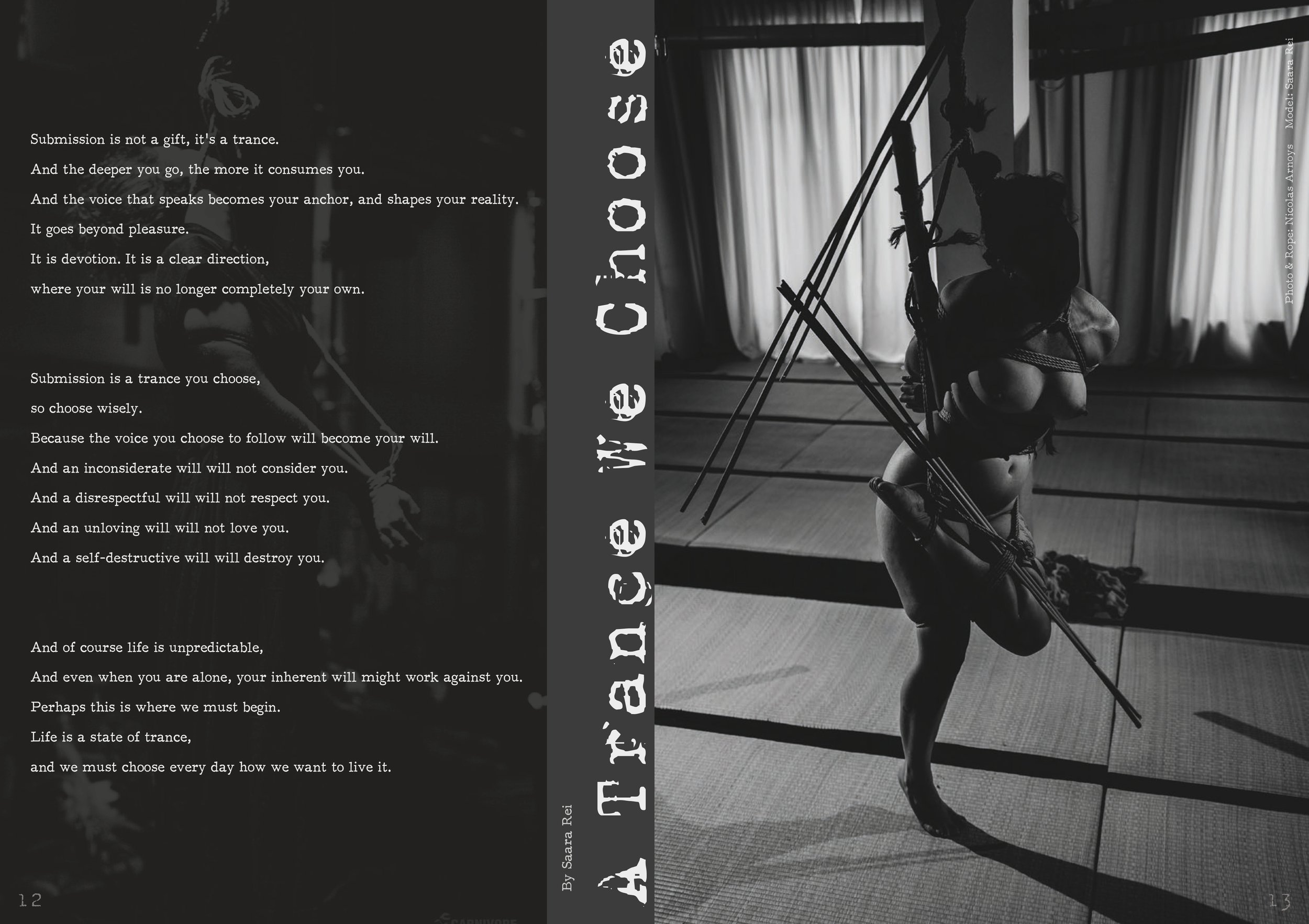 Kinbaku Society of Berlin #15